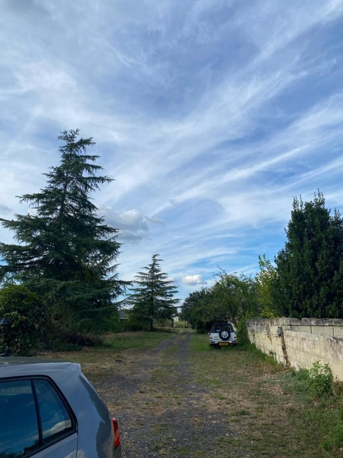 Gites De La Levee Chouzé-sur-Loire Buitenkant foto